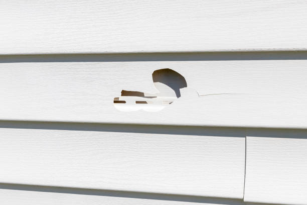 Best Siding for New Construction  in Marrero, LA