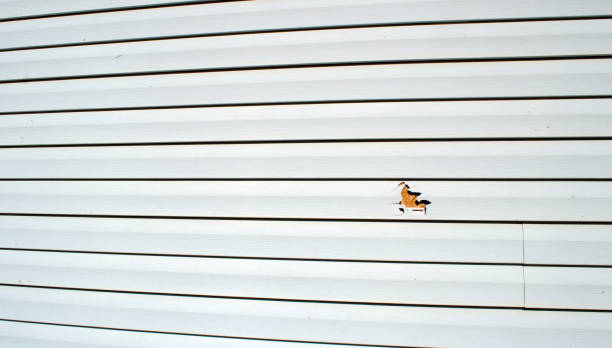Best Historical Building Siding Restoration  in Marrero, LA